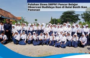 BERITA
